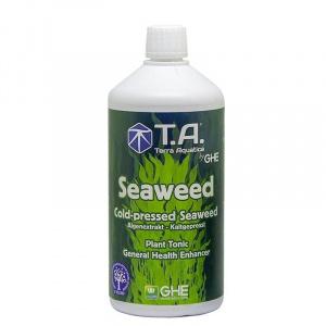 Seaweed_0.5