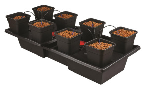AW608V2E-Wilma-8-pot-large-wide-11L