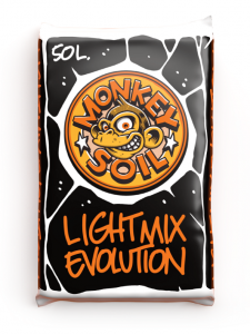 Monkey_Light_Mix_Evolution