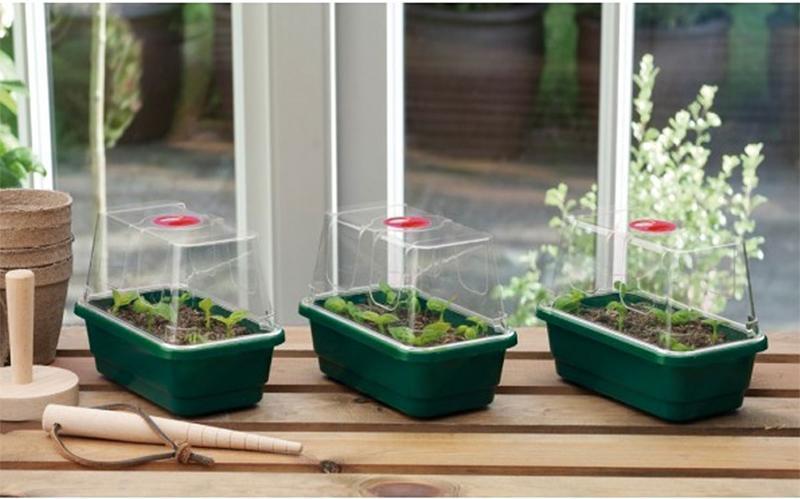 Парник Mini High Dome Propagator c отверстиями (3шт.) Парник Mini High Dome Propagator c отверстиями (3шт.) Парник Mini High Dome Propagator c отверстиями (3шт.) Парник Mini High Dome Propagator c отверстиями (3шт.)