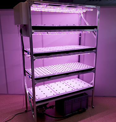 Многоярусная гидропонная установка Сити Фермер Over Grower Многоярусная гидропонная установка Сити Фермер Over Grower Многоярусная гидропонная установка Сити Фермер Over Grower Многоярусная гидропонная установка Сити Фермер Over Grower