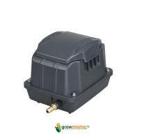 234402244_w800_h640_3_za0f-2e 234402244_w800_h640_3_za0f-2e