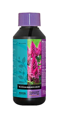 BlossomBuilder025 BlossomBuilder025