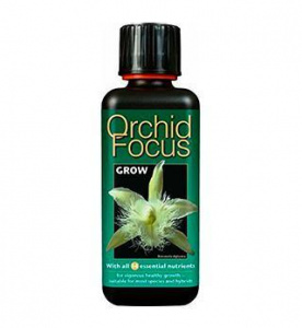 orchid_grow3
